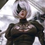 NieR