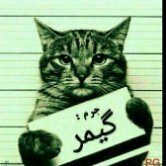 Fajeeh