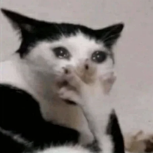 Poaro