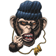 CoNoR