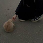 Lucka