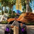 Farsad4441