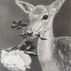 Deerawich